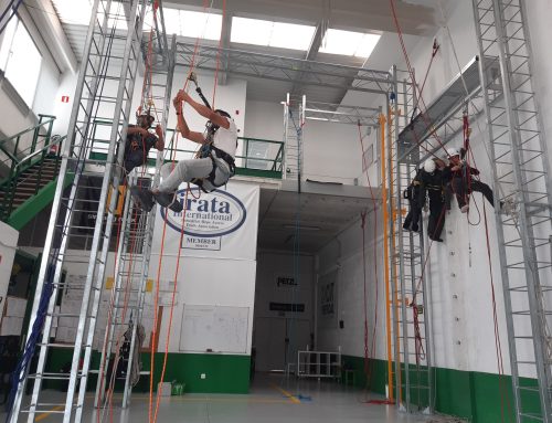 Formación en trabajos verticales: cursos y habilidades | C.I.T. Vertical